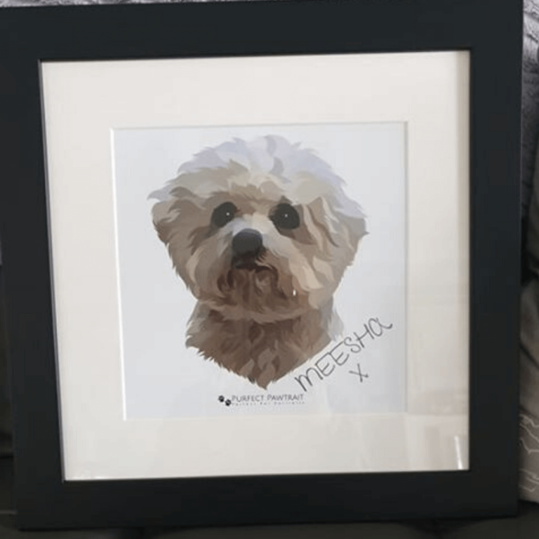 Meesha Dog Portrait