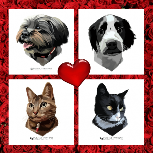 Valentines pet portrait, pet portrait for valentines